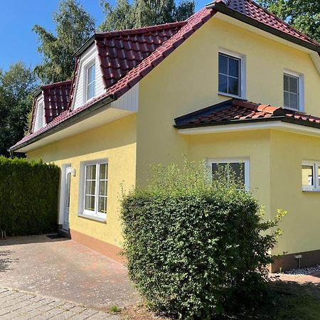 Ferienhaus Strandoase ツィングシュト エクステリア 写真